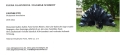 c info Farnbluete